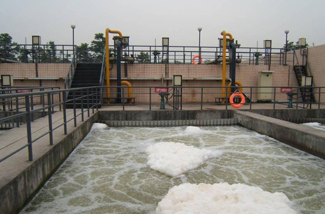 Optimization of SBR-SBHBR process technology for phosphorus and nitrogen removal in wastewater